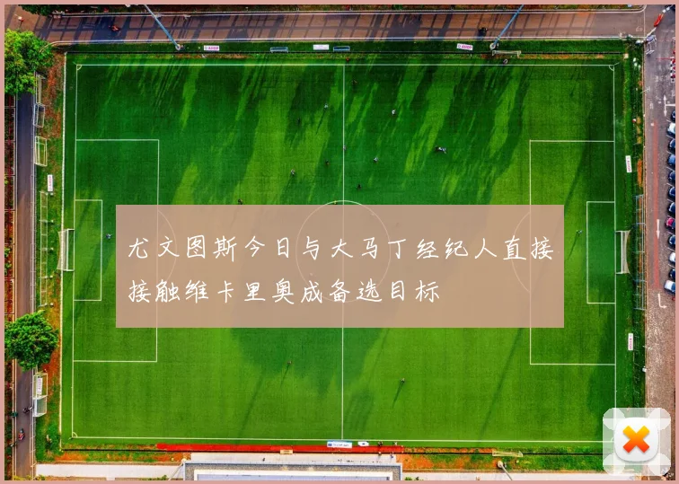 尤文图斯今日与大马丁经纪人直接接触维卡里奥成备选目标